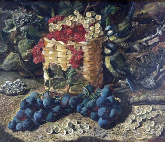 William Duffield (1816-1863) Still lifes of blue tits, grapes, redcurrants and a robin, 11.5 x 13.5in.